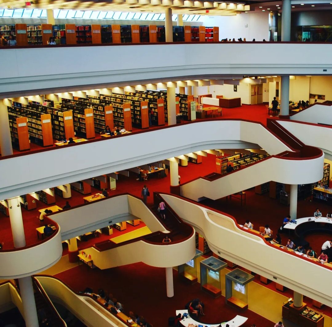 Screenshot_20231126_123323_Instagram